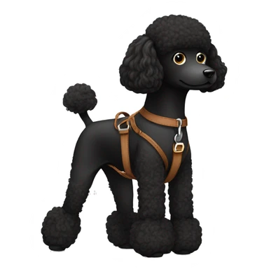 3 legs One Small unshaved Black Poodle with brown harness sticker