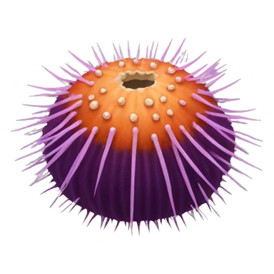 sea ​​urchin sticker