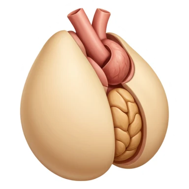 anatomically correct testicles sticker