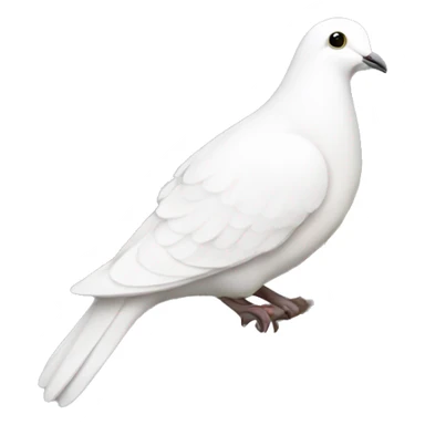 white dove and Olive branch sticker