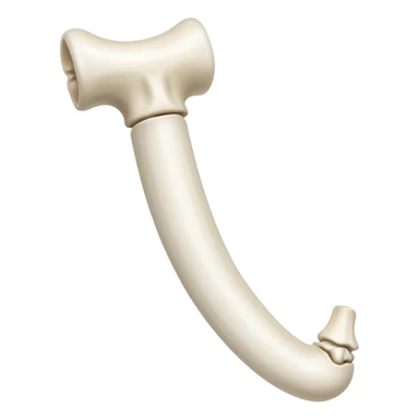 singular long anatomic bone sticker
