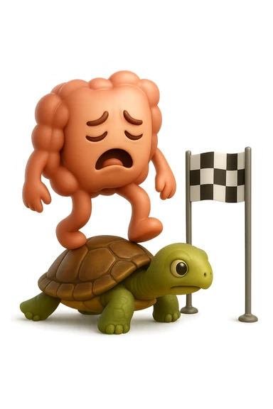  EMOJI STILE IPHONE 3D DI UN INTESTINO CON ESPRESSIONE ANGOSCIATA CHE CAMMINA SUL GUSCIO DI UNA TARTARUGA IN ATTESA ESTENUANTE DI RAGGIUNGERE UN TRAGUARDO POCO PIù AVANTI, SULLA LORO DESTRA. IL TRAGUARDO è UNA BANDIERA A DUE PIEDI CON FASCIA A SCACCHI BIANCHI E NERI. iperrealistico 4k sticker