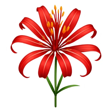 Uma flor de Lycoris radiata sticker