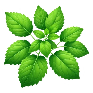 Lemon Balm herb  sticker