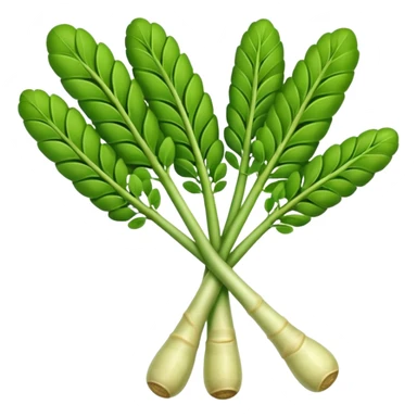 Vegetable drumstick Moringa
oleifera sticker