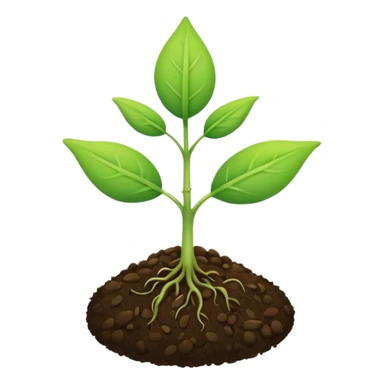 A tiny two leaf seedling coming out of a seed without any mud or gravel just a seed sticker