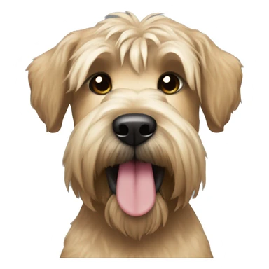 Wheaten terrier with long lighter color hair, darker color ears and black chin sticker
