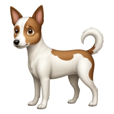 a full body large white floppy eared parson russell looking dog the size of a kelpie with light brown ears and a light brown patch on one eye and a large snout sticker