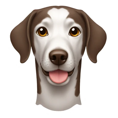 Liver gsp with ticking sticker