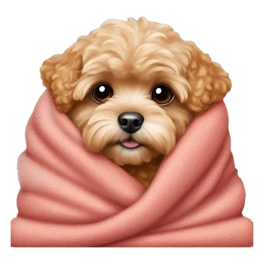 Red Maltipoo in cozy blanket sticker