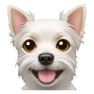WEST HIGHLAND CHIHUAHUA TERRIER MIX sticker