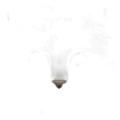 norwegian-forest-cat sticker