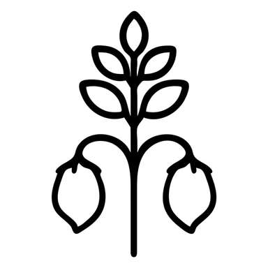 a chickpea plant with pods, line art style sticker