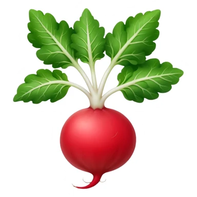 the actual radish compared to the leaves needs to be smaller, radish UK plant with a bit of white on the bottom of the radish sticker