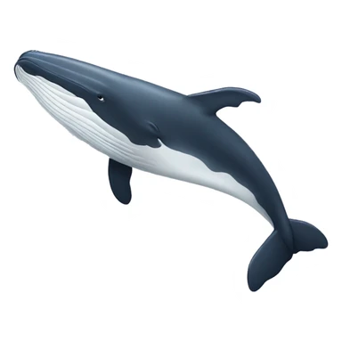 humpback whale fluke sticker