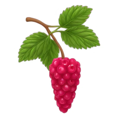 Raspberry fruit sticker
