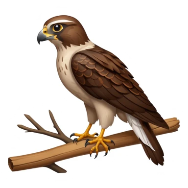 Falcon sticker