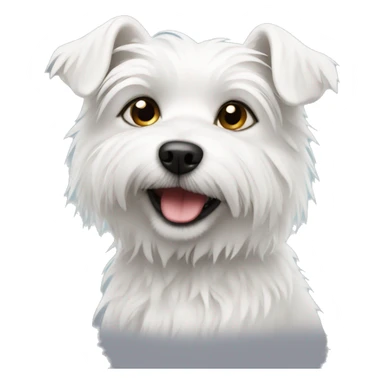 Scruffy small white dog  sticker
