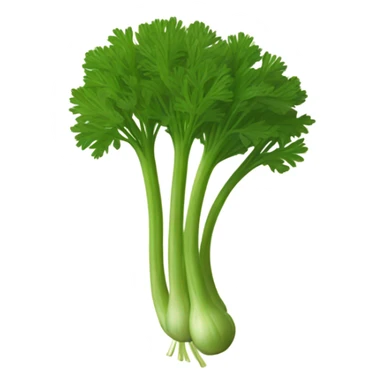 Dill herb sticker