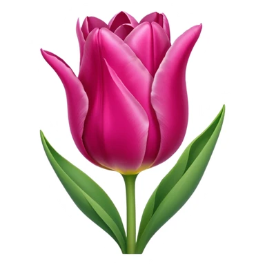 deep pink tulip sticker