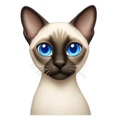 Siamese cat with blue eyes  sticker