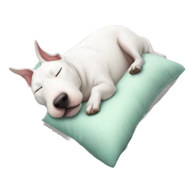 white bull terrier sleeping on pillow sticker