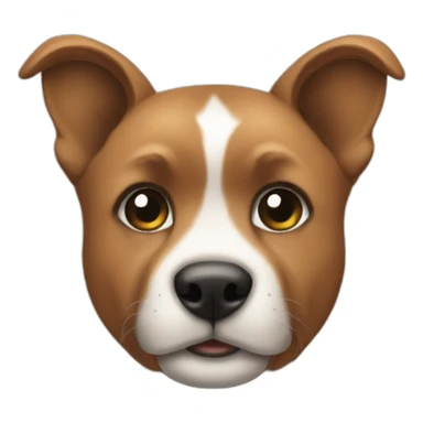 A page Instagram  sticker