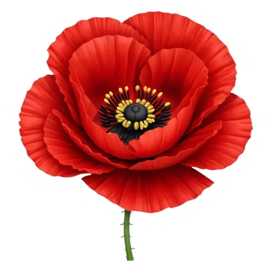 Poppy sticker