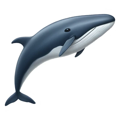 fin whale sticker