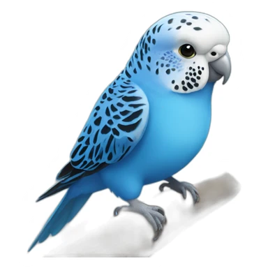 realistic blue budgie bird sticker