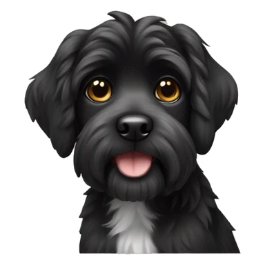 Black Havaneser dog sticker
