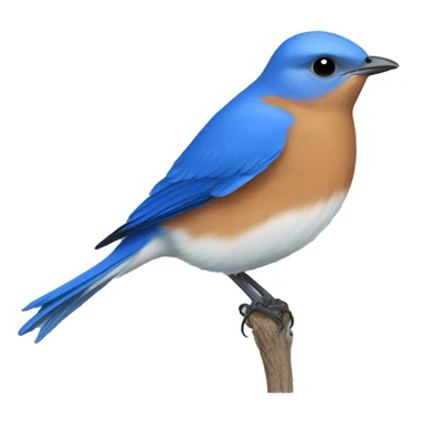 Eastern bluebird  sticker