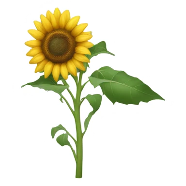 Sunflower sticker