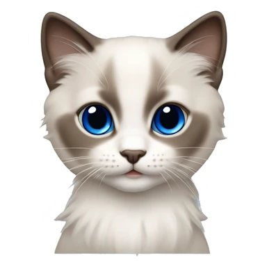 Ragdoll kitten with brown nose and face royal blue eyes sticker