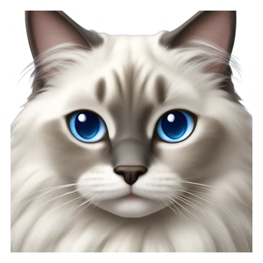 Ragdoll cats sticker