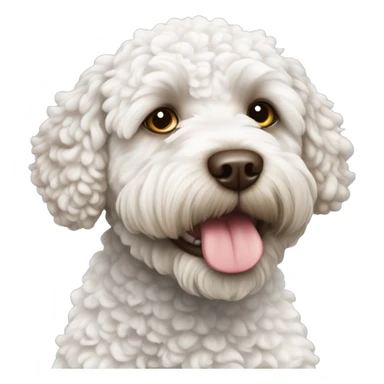 lagotto-romagnolo white sticker