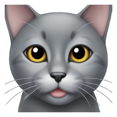 Black cat with white chin sticker