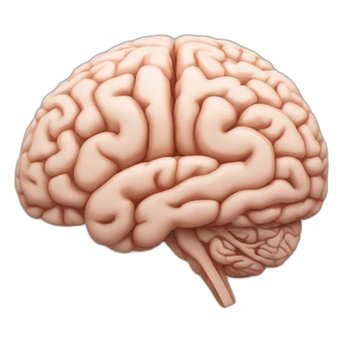 The human brain in a side few sticker
