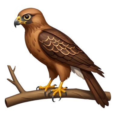 a hawk sticker