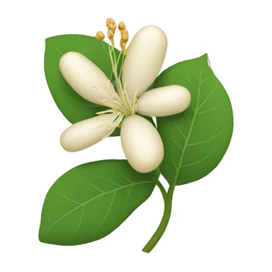 Indian Ginseng flower sticker