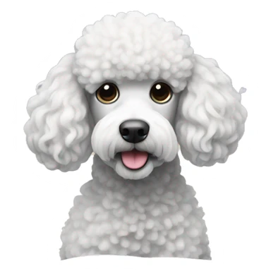 Poodle in the snow sticker