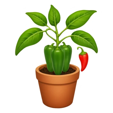 Potted green pepper plant with small red peppers growing on it sticker