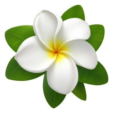 white plumeria with leaf sticker