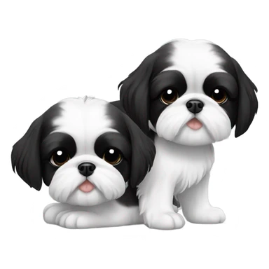 Two black and white shitz tzu puppies  sticker