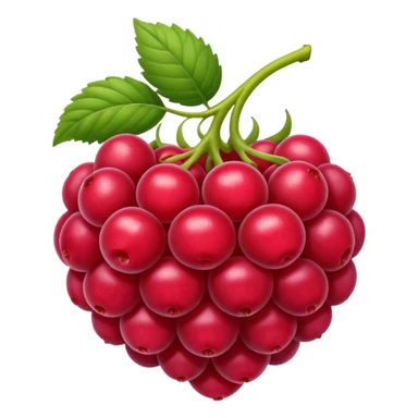 framboise sticker