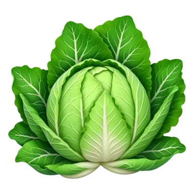 chinese cabbage sticker