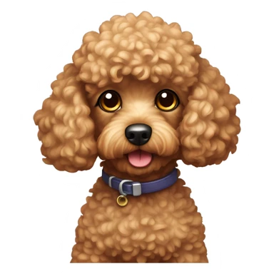 suspicious toy poodle dog sticker