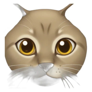 Burmese cat smiling sticker