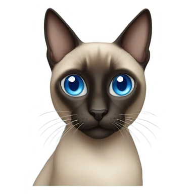 Dark Siamese cat with blue eyes  sticker