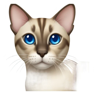 Siamese tabby cat sticker